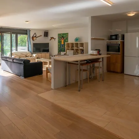 Alpstuga Laga Surfing Ibarrangelu